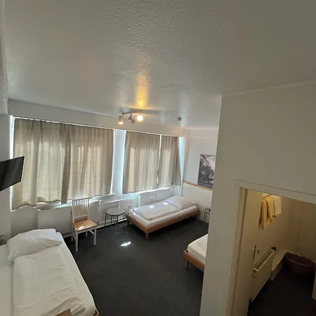 施瓦泽巴尔酒店 酒店