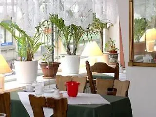 Schwarzer Bär 3*