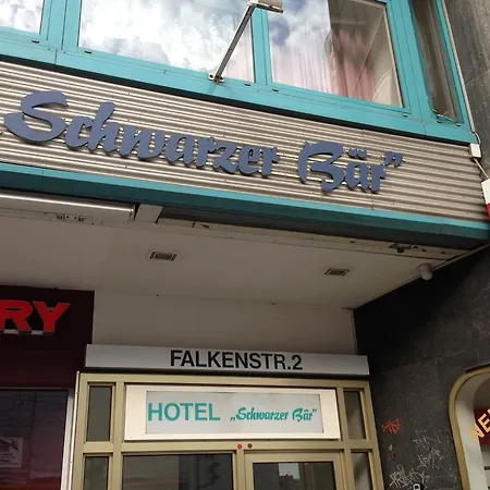 Schwarzer Bär Hannover